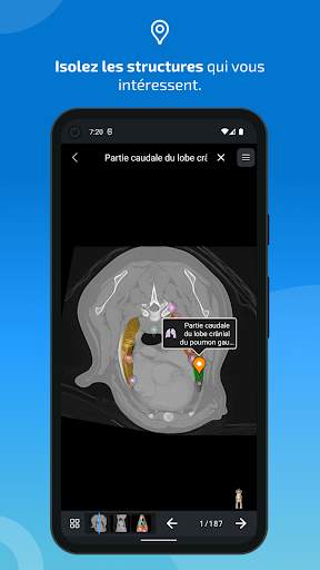 vet-Anatomy screenshot 4