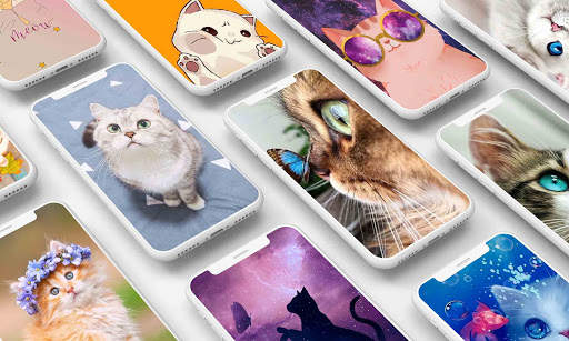 Cute Cat Wallpaper screenshot 1