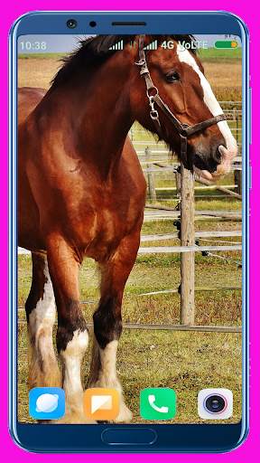 Horse Wallpaper screenshot 14