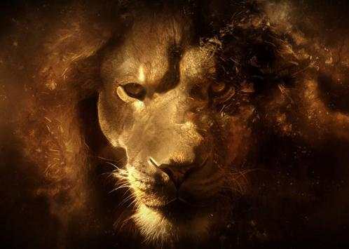 Lion King HD Live Free LWP screenshot 2