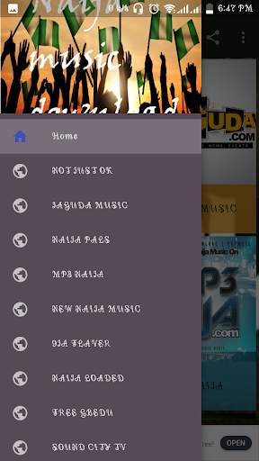 Naija Music Download screenshot 1