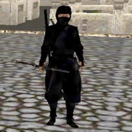 Ninja Warrior 1.5