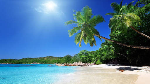 Beach Live Wallpaper (Wallpapers & Backgrounds) screenshot 8