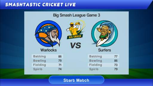 Smashtastic Cricket screenshot 4