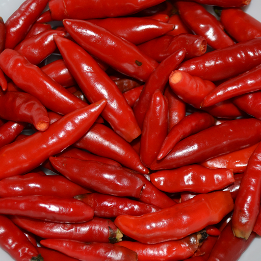Chatney Sauce Recipes icon