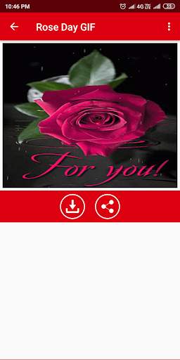 Rose Day GIF screenshot 6