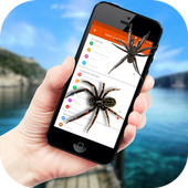Spider in Phone Funny Joke icon