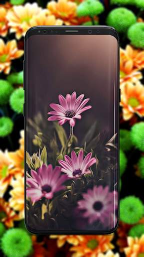Flower Wallpaper screenshot 7