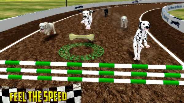 Ultimate Dog Race: greyhound Derby Race screenshot 3