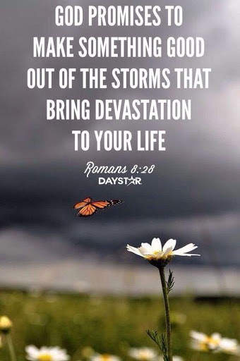 Daily Bible Scriptures screenshot 4