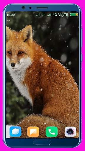 Fox Wallpaper Best 4K screenshot 16