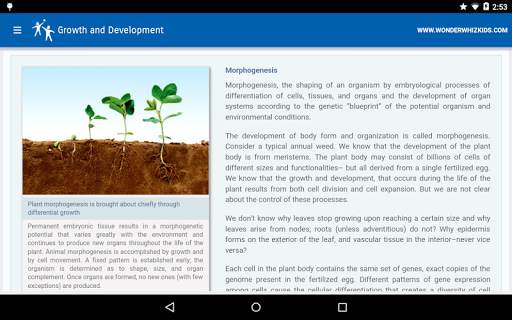 Growth and Development скриншот 2