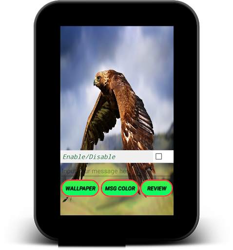 Eagle Live Wallpaper - Screen Lock, Sensor, Auto screenshot 11