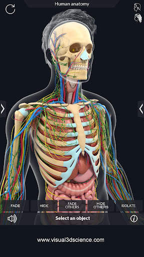 Human Anatomy screenshot 6