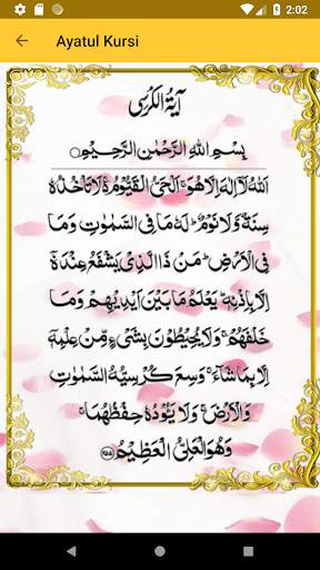 Tasbeeh Counter screenshot 7