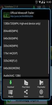 TubeMаte screenshot 2