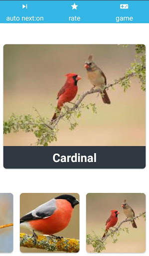 Animal Sounds Learn With Game screenshot 5