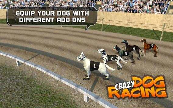 Crazy Dog Racing 5 تصوير الشاشة