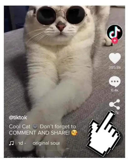 Social Video Downloader screenshot 1