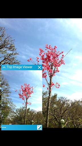 Top Image Viewer screenshot 3