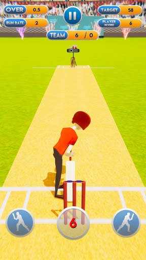 Cricket World Cup Mayhem 2019 screenshot 4