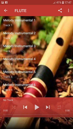 Instrumental Music Hits 4 تصوير الشاشة