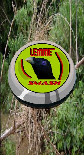 Lemme smash bird sound button screenshot 2