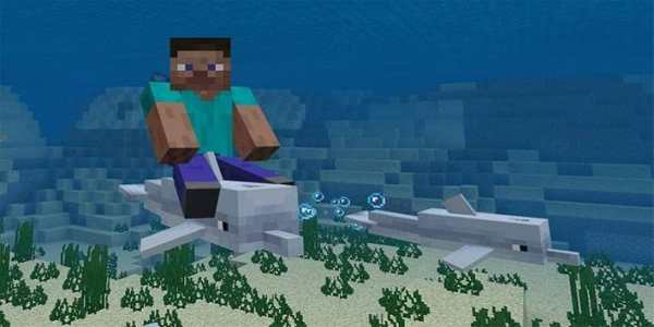 MOD Dolphin Riding Addon screenshot 3