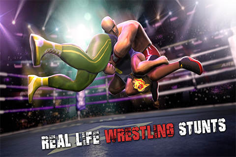 Royale Champion Fighting Mania screenshot 2