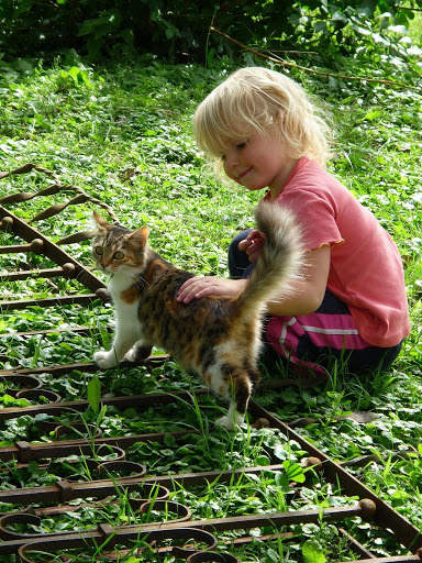Cat HD Wallpaper 😻😻 screenshot 6
