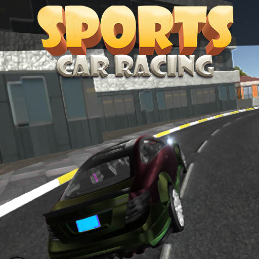 Sports Car Racing 2021 1