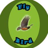 Fly Bird 2.0
