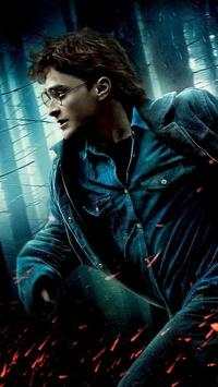 Harry Potter Hd Wallpapers screenshot 6