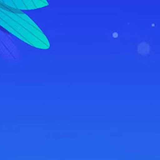 BB VPN 1.3