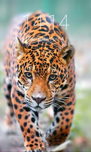 Jaguar Lock Screen Jaguar Passcode Keypad screenshot 6