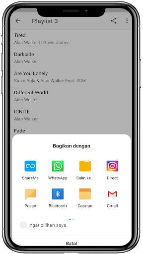 DJ Alan Walker - Offline screenshot 4