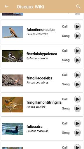 Identification des  oiseaux screenshot 4
