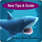 Guide Hungry Shark Evolution . 2.3.2