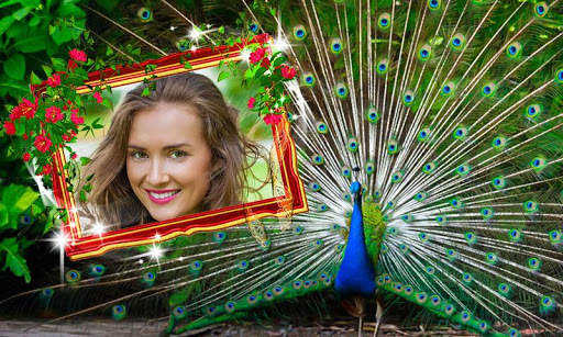 Peacock Photo Frames screenshot 1