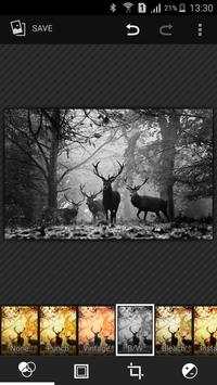 Gallery Pro screenshot 4