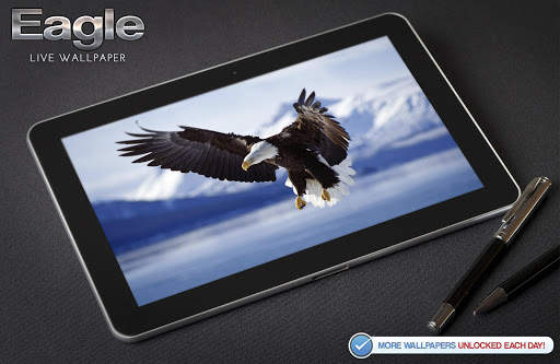 Eagle Live Wallpaper screenshot 8