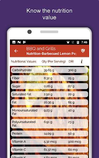 Barbecue Grill Recipes Offline screenshot 15