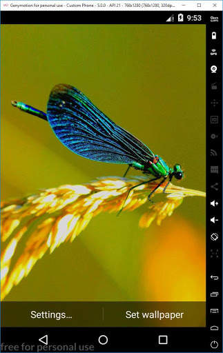 Ladybug 3D Live Wallpaper 12 تصوير الشاشة
