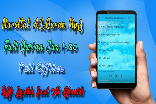 AL Ghamdi Full Quran MP3 Offline screenshot 4