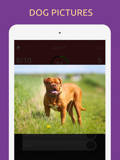 Dog Breeds Quiz Game: Learn All Popular Dog Breeds скриншот 6