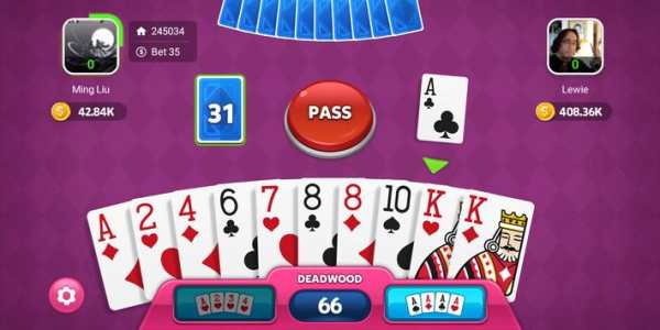 Gin Rummy screenshot 5