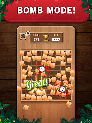 Wooden 100 Block Puzzle Game screenshot 13