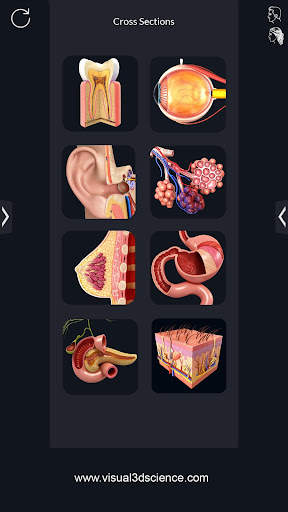 Human Anatomy screenshot 2