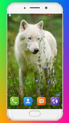 Wolf Wallpaper HD screenshot 14