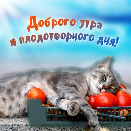 С добрым утром Открытки и Kартинки 2020 screenshot 8